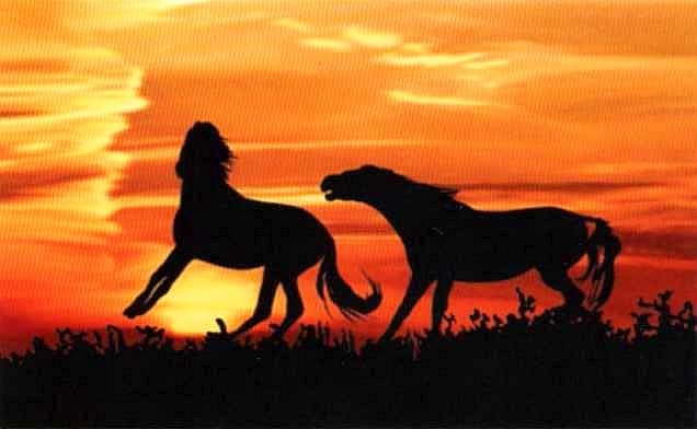 Иллюстрация к книге — Заповедники России [i_028.jpg]