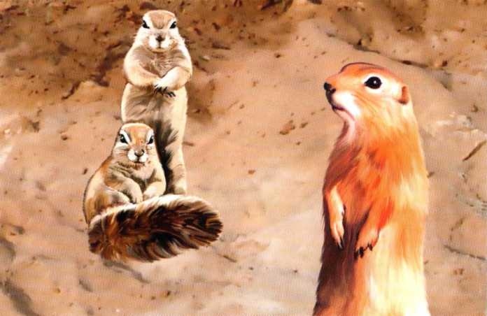 Иллюстрация к книге — Заповедники России [i_029.jpg]