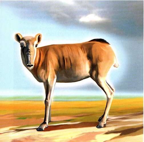 Иллюстрация к книге — Заповедники России [i_030.jpg]