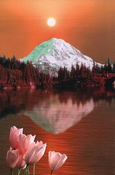 Иллюстрация к книге — Заповедники России [i_032.jpg]