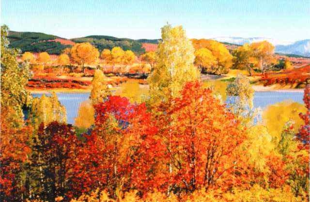 Иллюстрация к книге — Заповедники России [i_043.jpg]