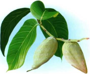 Иллюстрация к книге — Заповедники России [i_052.jpg]