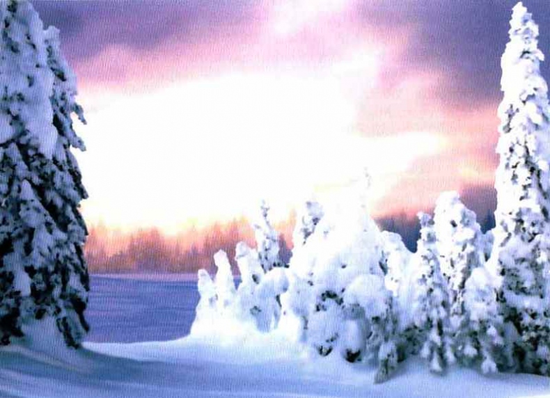 Иллюстрация к книге — Заповедники России [i_053.jpg]