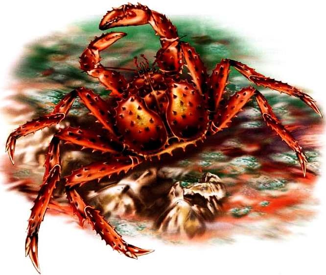 Иллюстрация к книге — Жуки и другие удивительные насекомые [i_008.jpg]