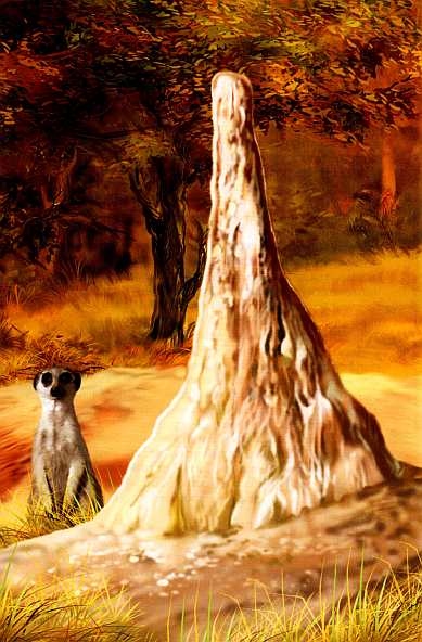 Иллюстрация к книге — Жуки и другие удивительные насекомые [i_049.jpg]