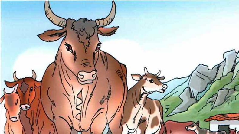 Иллюстрация к книге — Герои Древней Греции. [i_072.jpg]