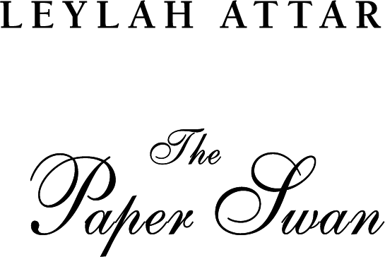 Иллюстрация к книге — Бумажный лебедь [i_002.jpg]