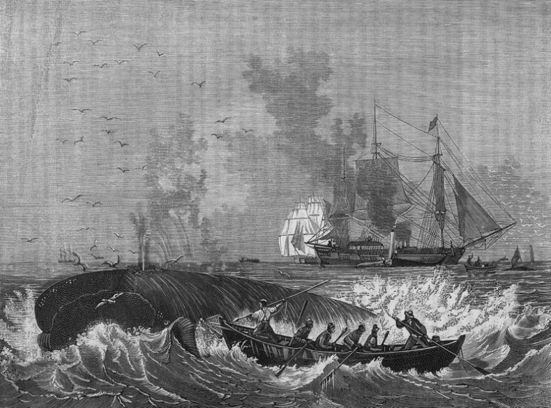 Иллюстрация к книге — Следовать новым курсом [i_026.jpg]