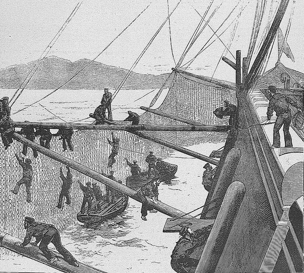 Иллюстрация к книге — Следовать новым курсом [i_077.jpg]