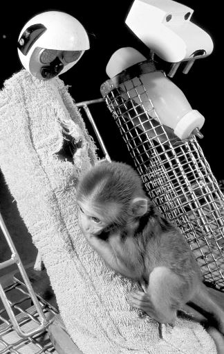 Иллюстрация к книге — Грусть пятого размера. Почему мы несчастны и как это исправить [i_009.jpg]