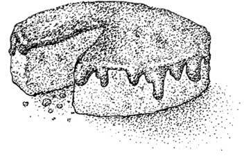 Иллюстрация к книге — Южные помидоры. Рассказы о доме с синей дверью и черешневом компоте [i_006.jpg]
