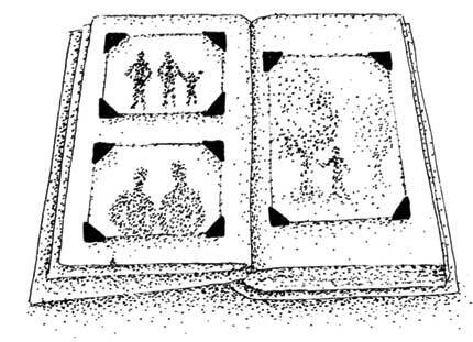 Иллюстрация к книге — Южные помидоры. Рассказы о доме с синей дверью и черешневом компоте [i_013.jpg]