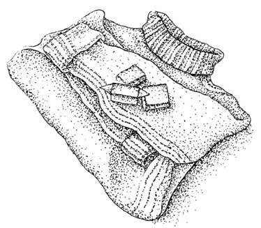 Иллюстрация к книге — Южные помидоры. Рассказы о доме с синей дверью и черешневом компоте [i_020.jpg]