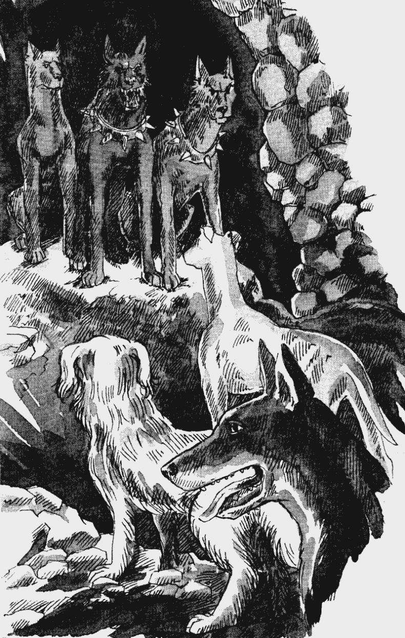 Иллюстрация к книге — Собачья гроза [i_006.jpg]