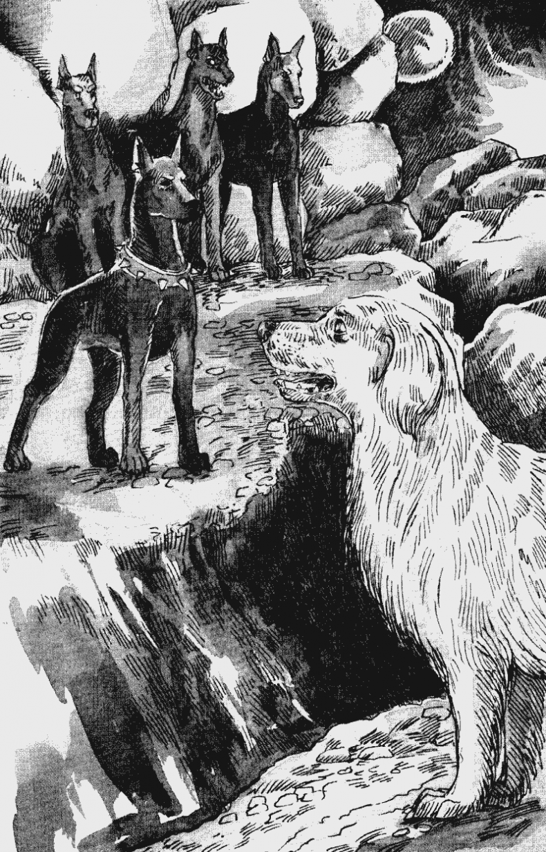 Иллюстрация к книге — Собачья гроза [i_009.jpg]