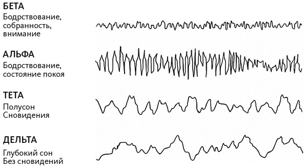 Иллюстрация к книге — Нейрофитнес. Рекомендации нейрохирурга для улучшения работы мозга [i_003.jpg]