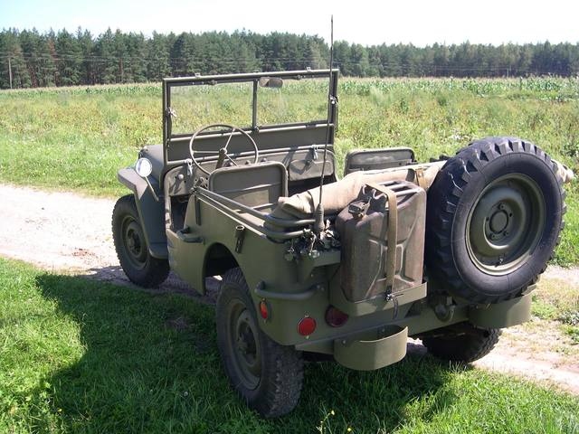 Иллюстрация к книге — Рыжик [i_046.jpg]