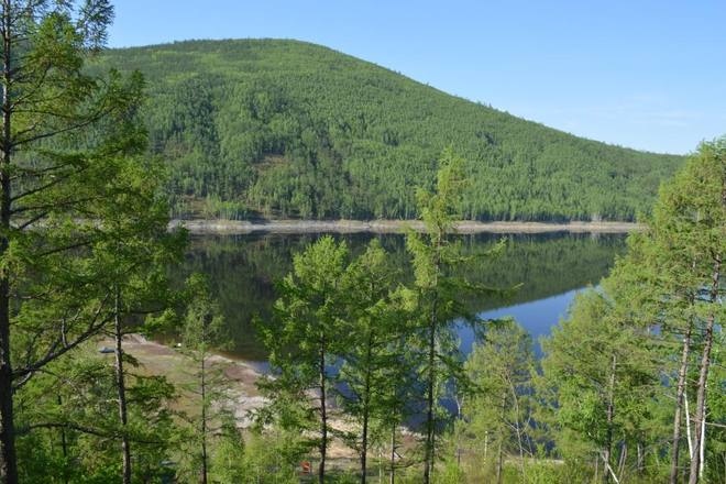 Иллюстрация к книге — Рыжик [i_055.jpg]