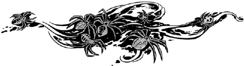 Иллюстрация к книге — Корабль из прошлого [i_046.jpg]