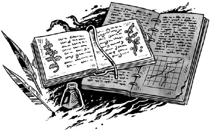 Иллюстрация к книге — Корабль из прошлого [i_063.jpg]