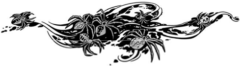 Иллюстрация к книге — Корабль из прошлого [i_073.jpg]