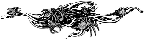 Иллюстрация к книге — Корабль из прошлого [i_091.jpg]