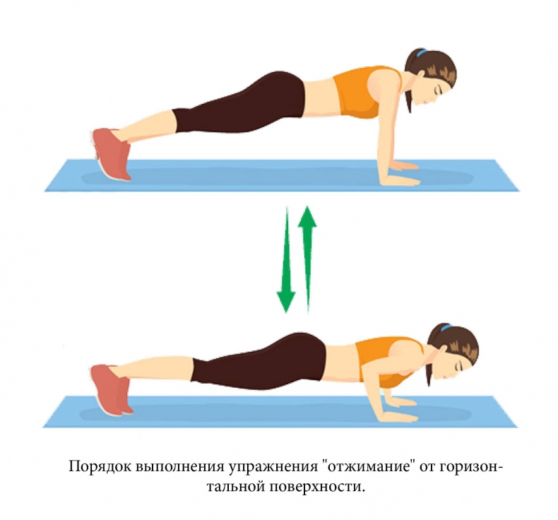 Иллюстрация к книге — Все, что нужно знать об ожирении для эффективного похудения [_17.jpg]