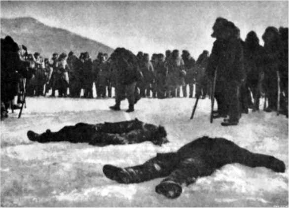 Иллюстрация к книге — Хроники Даманского [i_018.jpg]