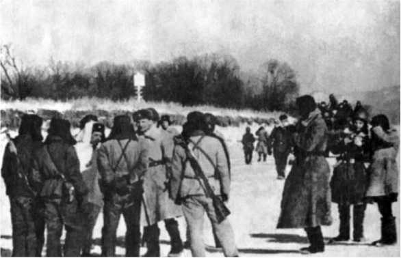 Иллюстрация к книге — Хроники Даманского [i_020.jpg]