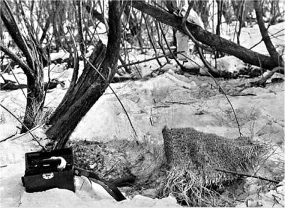 Иллюстрация к книге — Хроники Даманского [i_033.jpg]