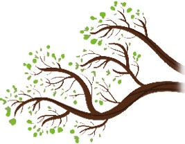 Иллюстрация к книге — Мой блокнот. Сила растений [i_024.jpg]