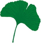 Иллюстрация к книге — Мой блокнот. Сила растений [i_027.jpg]