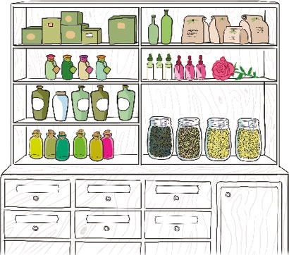 Иллюстрация к книге — Мой блокнот. Сила растений [i_028.jpg]