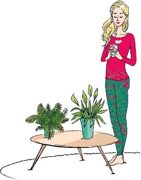 Иллюстрация к книге — Мой блокнот. Сила растений [i_043.jpg]