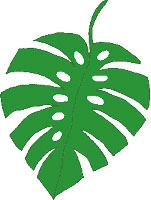 Иллюстрация к книге — Мой блокнот. Сила растений [i_084.jpg]