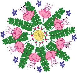 Иллюстрация к книге — Мой блокнот. Сила растений [i_146.jpg]