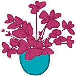 Иллюстрация к книге — Мой блокнот. Сила растений [i_215.jpg]