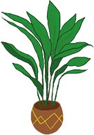 Иллюстрация к книге — Мой блокнот. Сила растений [i_219.jpg]