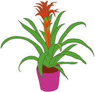 Иллюстрация к книге — Мой блокнот. Сила растений [i_220.jpg]