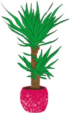 Иллюстрация к книге — Мой блокнот. Сила растений [i_225.jpg]