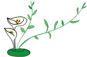 Иллюстрация к книге — Мой блокнот. Сила растений [i_238.jpg]