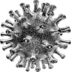 Иллюстрация к книге — COVID-19: 33 вопроса и ответа о коронавирусе [i_003.jpg]