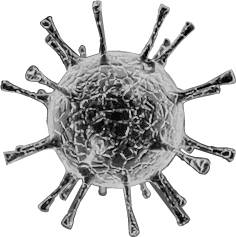 Иллюстрация к книге — COVID-19: 33 вопроса и ответа о коронавирусе [i_004.jpg]