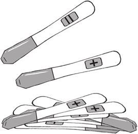 Иллюстрация к книге — Беременность, роды, первые годы жизни ребенка. В помощь будущей маме [i_013.jpg]