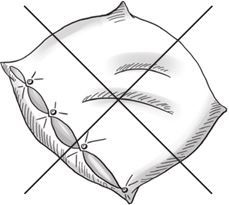 Иллюстрация к книге — Беременность, роды, первые годы жизни ребенка. В помощь будущей маме [i_026.jpg]