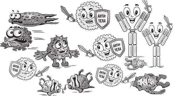 Иллюстрация к книге — Беременность, роды, первые годы жизни ребенка. В помощь будущей маме [i_041.jpg]