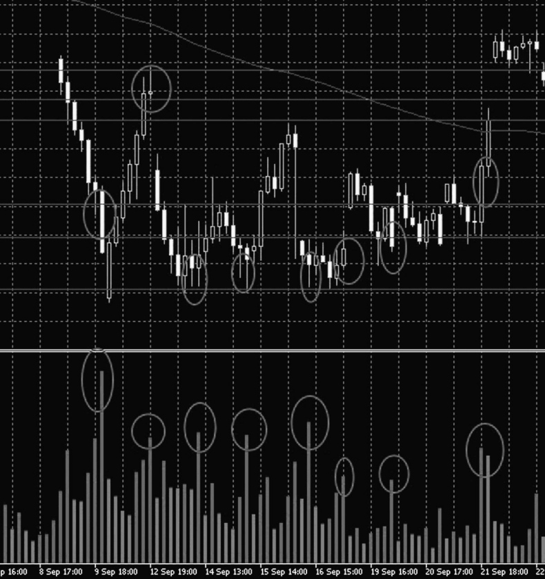 Иллюстрация к книге — Как инвестировать, если в кармане меньше миллиона [i_089.jpg]