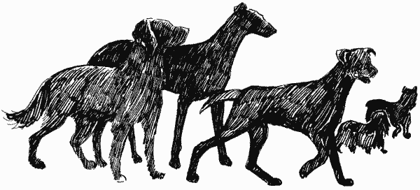 Иллюстрация к книге — Скрытая угроза [i_003.jpg]