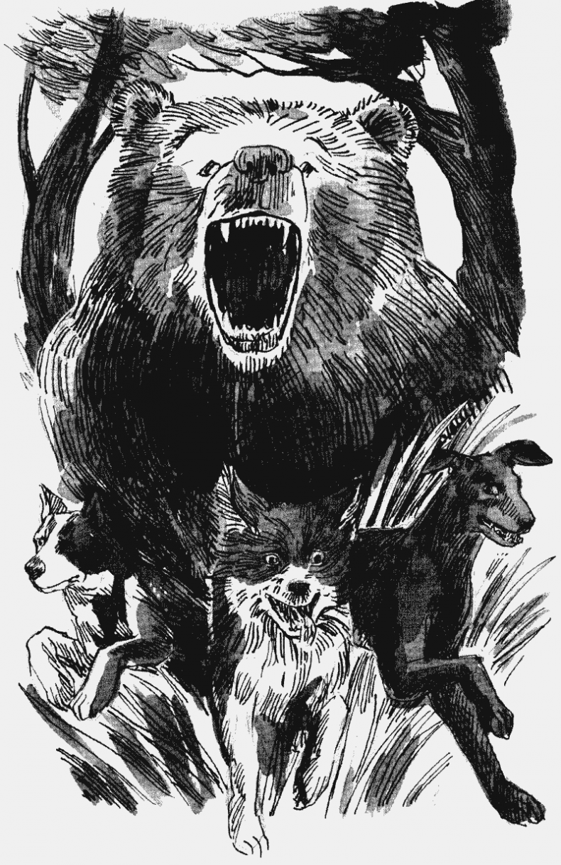 Иллюстрация к книге — Скрытая угроза [i_009.jpg]