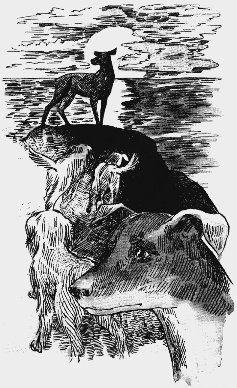 Иллюстрация к книге — Скрытая угроза [i_010.jpg]